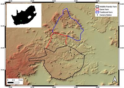 Wildlife-Friendly Livestock Management Promotes Mammalian Biodiversity Recovery on a Semi-Arid Karoo Farm in South Africa